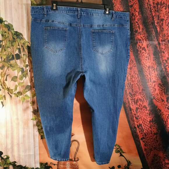 EUC: Agnes Orinda Sze 4X Blue Stretchy High Rise Skinny Jeans - Picture 2 of 3